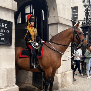 London horse guard