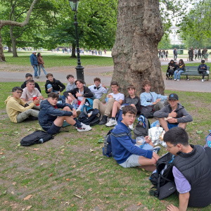 London Picninc in Green Park